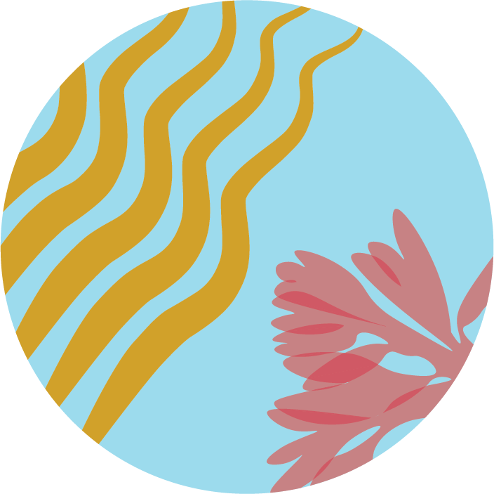 ssc logo circle only